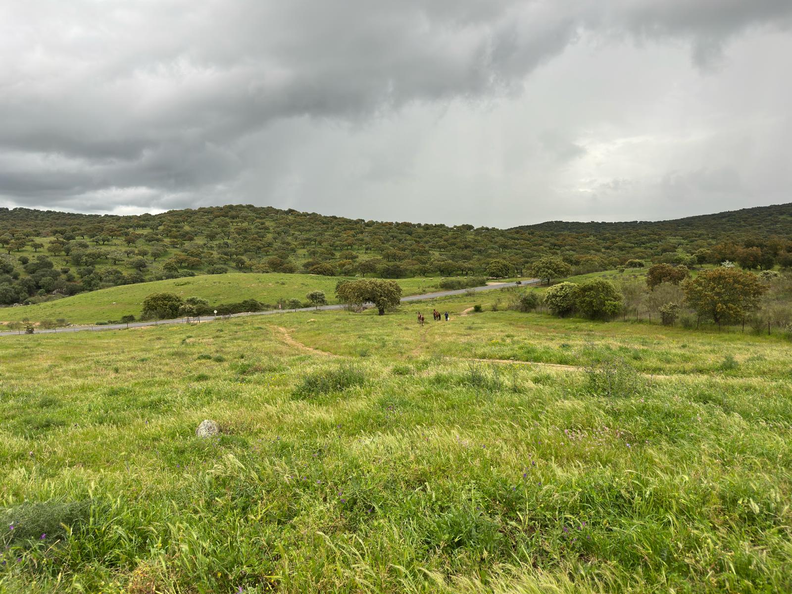 Finca La Nava - Dehesa extremeña